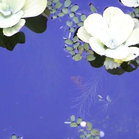 Maison d'hôtes Gaestehaus Am Sonnenhuegel 4*