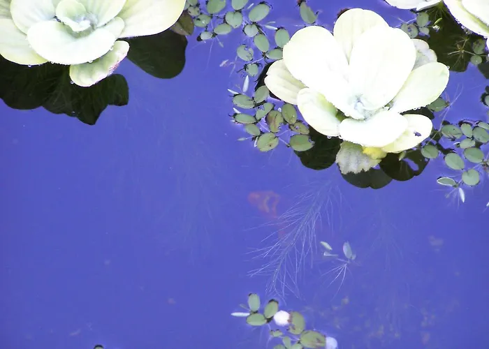 Penzion Gaestehaus Am Sonnenhuegel 4*